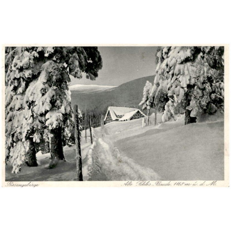 Riesengebirge. Alte Schles. Baude, 1168 m ü. d. M.