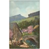 Der Frühling im Riesengebirge. Ober-Hermsdorf mit dem Kynast