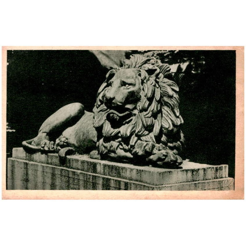 Gliwice - Lew Kalidy. Fotografik S. Polonyj-Poloński - Gliwice