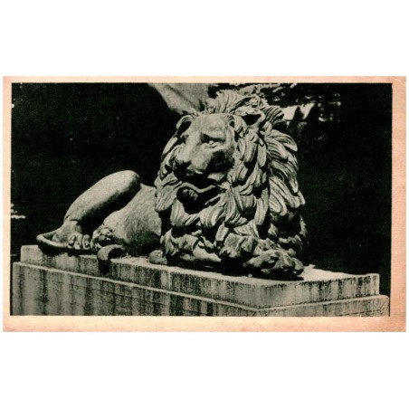 Gliwice - Lew Kalidy. Fotografik S. Polonyj-Poloński - Gliwice