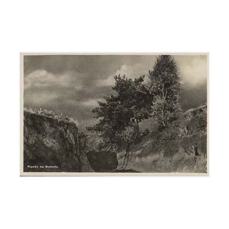 Wąwóz na Wołyniu. Fot. W. Loga