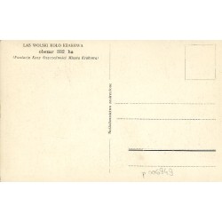 Świstaki - Zwierzyniec w Lesie Wolskim. Fot. St. Mucha [...]