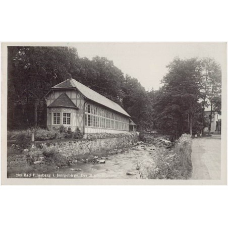 203 Bad Flinsberg i. Isergebirge. Der Niederbrunnen