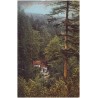 Kochelfallbaude i. Riesengebirge