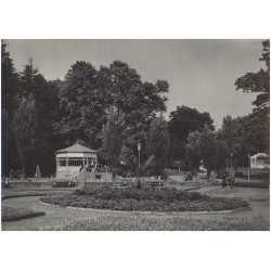 Jastrzębie-Zdrój. W parku zdrojowym fot. J. Wendołowski