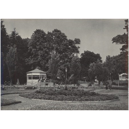 Jastrzębie-Zdrój. W parku zdrojowym fot. J. Wendołowski
