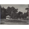 Jastrzębie-Zdrój. W parku zdrojowym fot. J. Wendołowski
