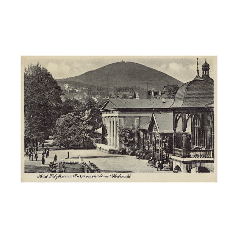 Bad Salzbrunn. Kurpromenade mit Hochwald