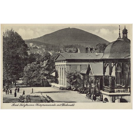 Bad Salzbrunn. Kurpromenade mit Hochwald