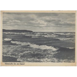 Stürmische See vor Zoppot