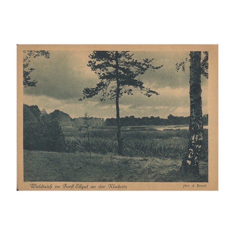 Waldteich im Forst Ellgut an der Klodnitz. phot. A. Berndt [...]