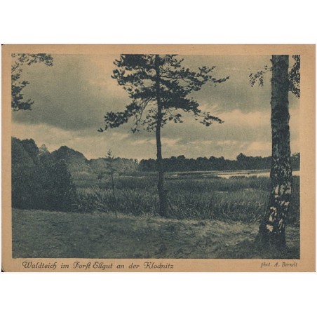 Waldteich im Forst Ellgut an der Klodnitz. phot. A. Berndt [...]