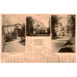 Sanatorium Dr. Gehrmann u. Dr. Dietsch in Jannowitz. Rs. Waldfrieden. Kurhaus. Birkenhain