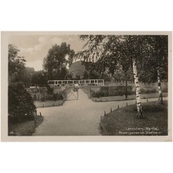 Landsberg (Warthe), Rosengarten im Stadtpark. 26
