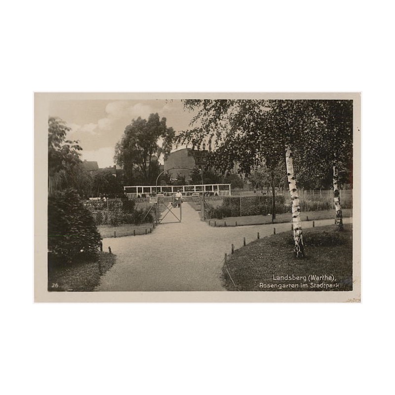 Landsberg (Warthe), Rosengarten im Stadtpark. 26