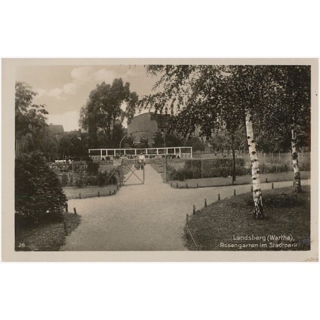 Landsberg (Warthe), Rosengarten im Stadtpark. 26