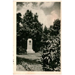 Gliwice - Fragment Parku Chopina. Fotografik S. Polonyj-Poloński - Gliwice