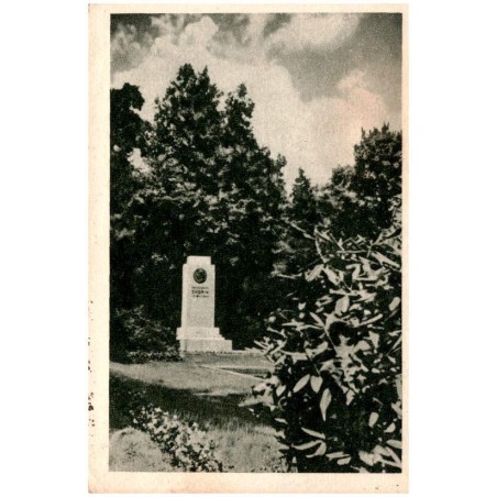 Gliwice - Fragment Parku Chopina. Fotografik S. Polonyj-Poloński - Gliwice