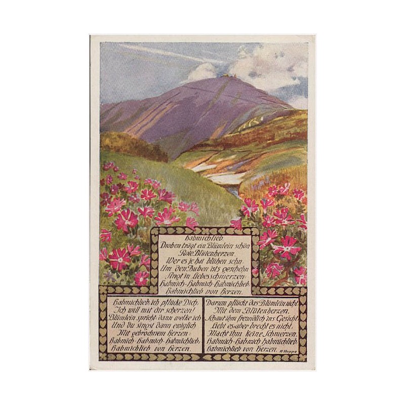 Riesengebirge. Schneekoppe vom Melzergrund aus