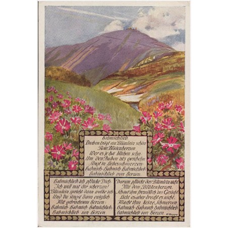 Riesengebirge. Schneekoppe vom Melzergrund aus