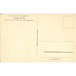 Bociany - Zwierzyniec w Lesie Wolskim. Fot. St. Mucha [...]