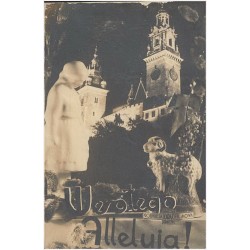Wesołego Alleluja !