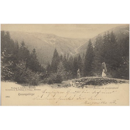 Riesengebirge. Parthie im Langengrund