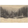 Riesengebirge. Parthie im Langengrund