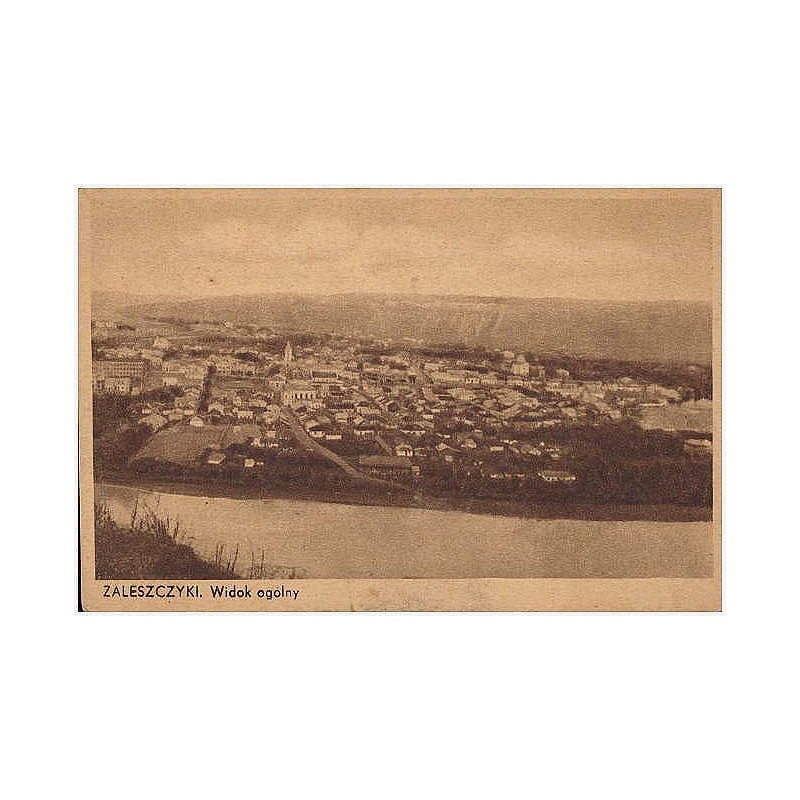 Zaleszczyki. Widok ogólny