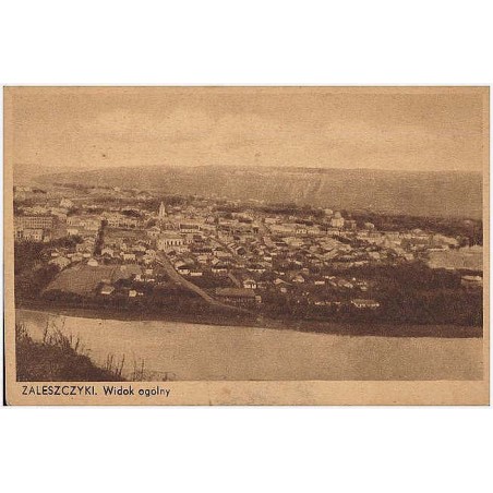 Zaleszczyki. Widok ogólny