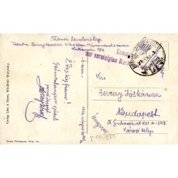 Wladimir Wolynsky. Abgebrannte Häuser. Leégett házak