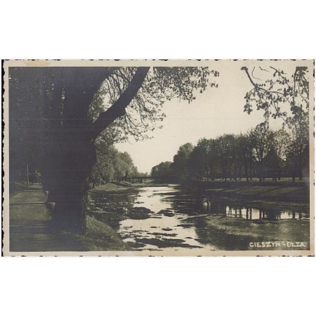 Cieszyn - Olza