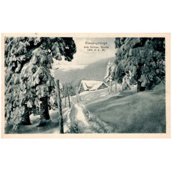 Riesengebirge. Alte Schles. Baude 1168 m ü. M.