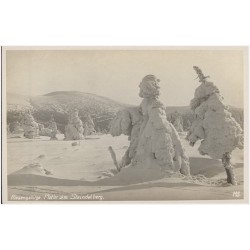 Riesengebirge. Motiv am Steindelberg. 115