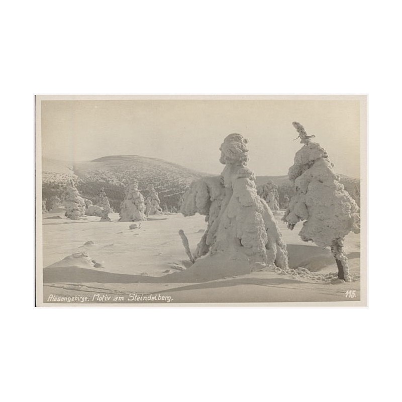 Riesengebirge. Motiv am Steindelberg. 115