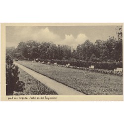 Gruß aus Liegnitz. Partie an der Bergerwiese
