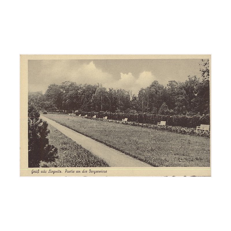 Gruß aus Liegnitz. Partie an der Bergerwiese