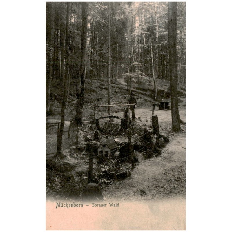 Mückenborn - Sorauer Wald