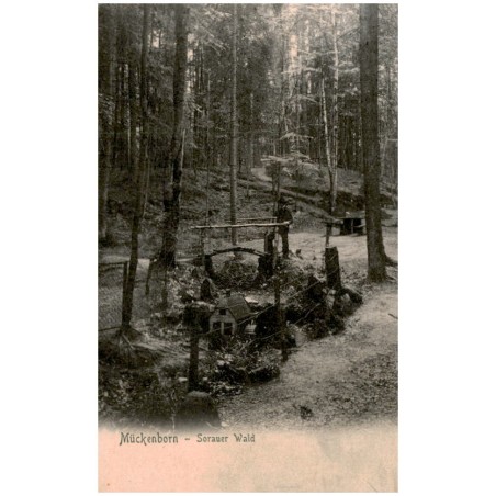 Mückenborn - Sorauer Wald