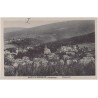 Bad Flinsberg (Isergebirge). Totalansicht