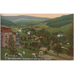 Bad Schwarzbach i. Isergebirge mit Blick auf die Tafelfichte