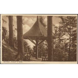 Krynica. "Parasol" w parku