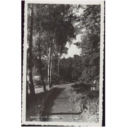 Cieszyn - park miejski