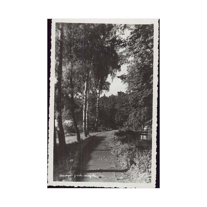 Cieszyn - park miejski