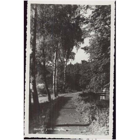 Cieszyn - park miejski