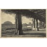 Breslau. Jahrhunderthalle mit Pergola