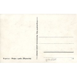 Krynica - Motyw z parku (Wojnaczka)