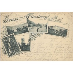 Gruss aus Flinsberg! Blick nach dem Greiffenstein. Ludwigs-Bad. Leopolds-Bad. Dorfbachschlucht. Hasenstein