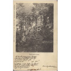 Panieńskie skały