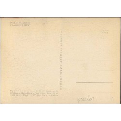 Rewers: Proj. J. M. Brzeski Fragment huty